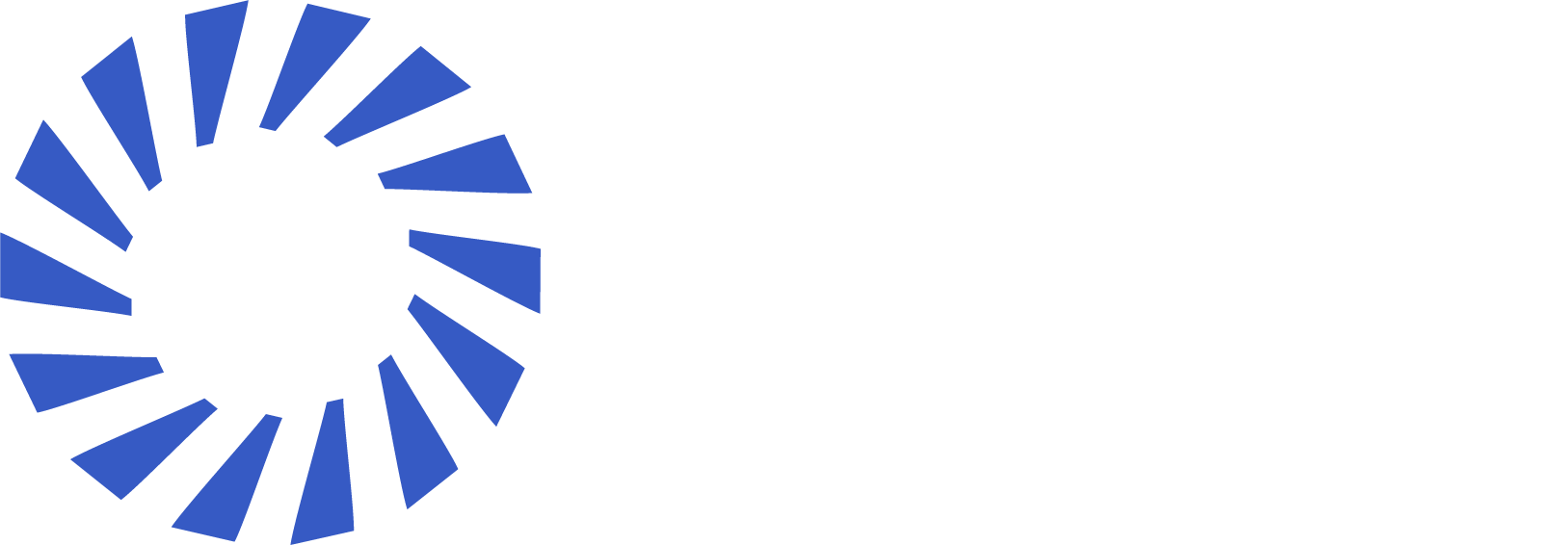 CMI Logo